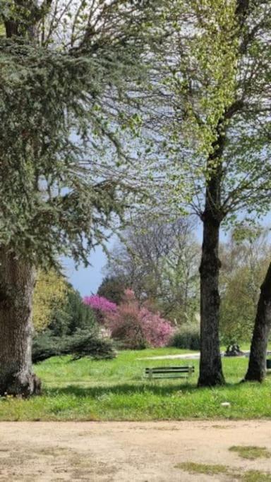 Pavillon Des Ecureuils Au Chateau Royal De Benays Benais Dış mekan fotoğraf