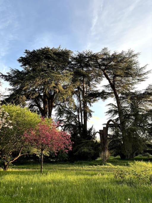 Pavillon Des Ecureuils Au Chateau Royal De Benays Benais Dış mekan fotoğraf